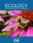 capa pesquisa 1